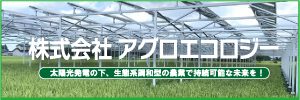 太陽光発電所の下で農業を専門に行うグリーンウィンド